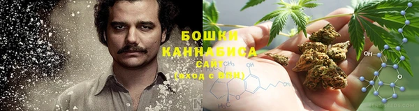 крисы Карталы